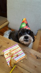 Eli and his birthday cake