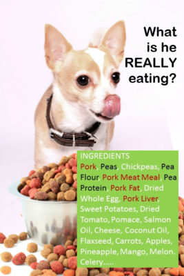 Pea Protein, Fiber, Flour and Starch in Dog Food?  Why?