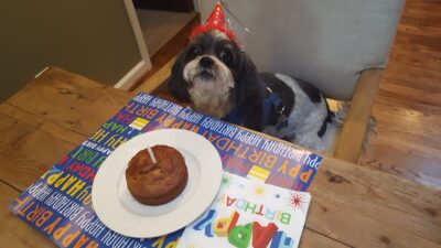 Eli’s Grain-Free Dog Birthday Cake Recipe